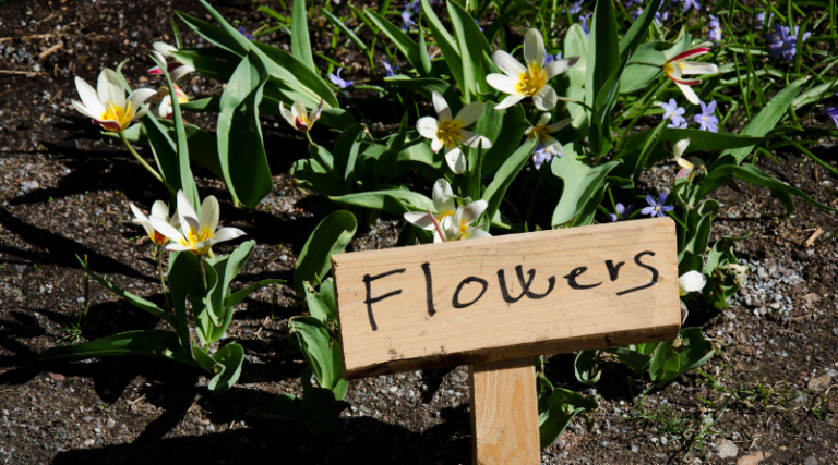 Obviedades ontológicas