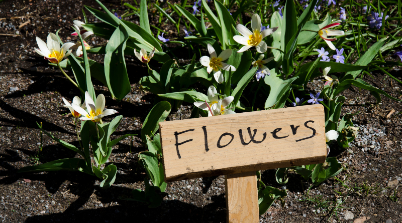 Obviedades ontológicas